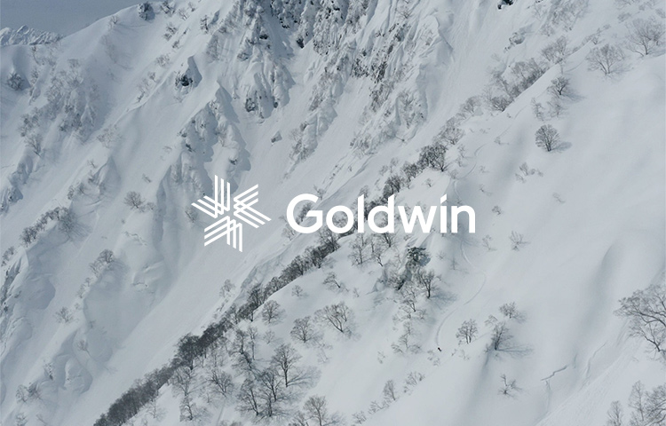Goldwin Inc.