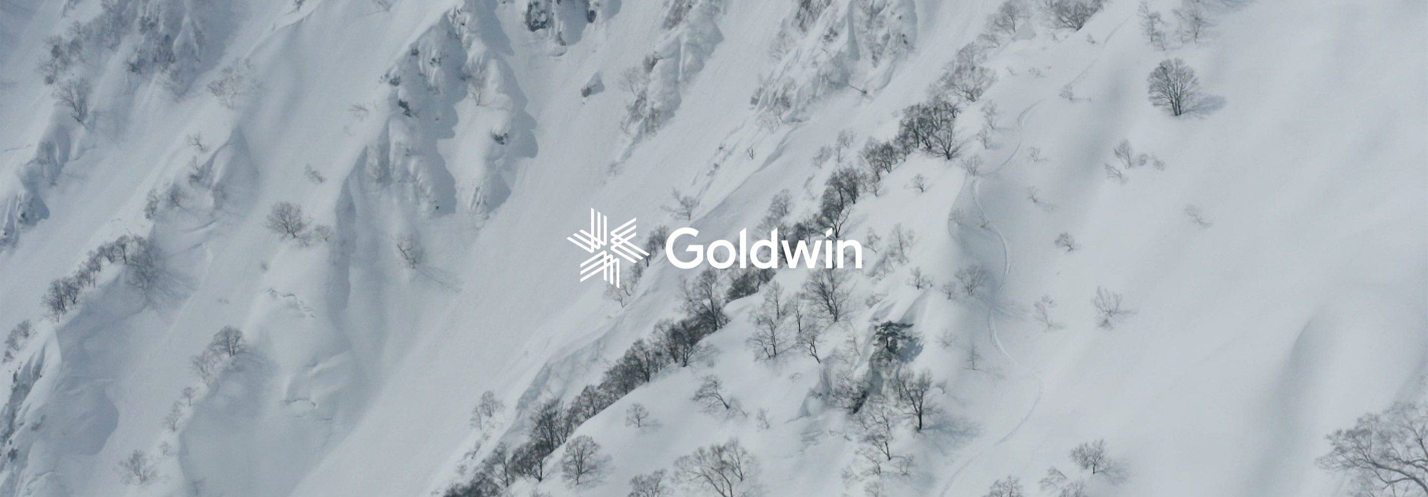 Goldwin Inc.