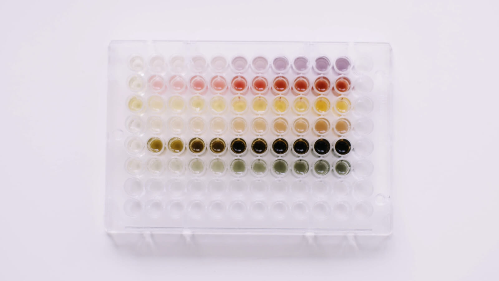 the pigment produced